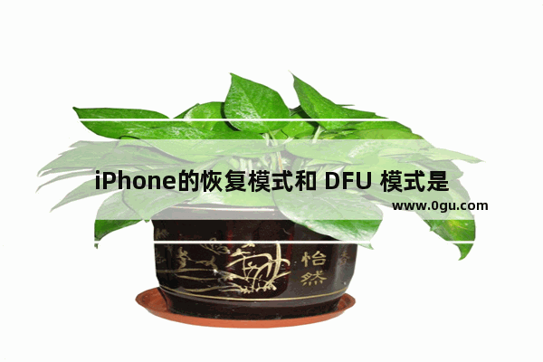 iPhone的恢复模式和 DFU 模式是什么 iPhone的恢复模式和 DFU 模式的区别对比