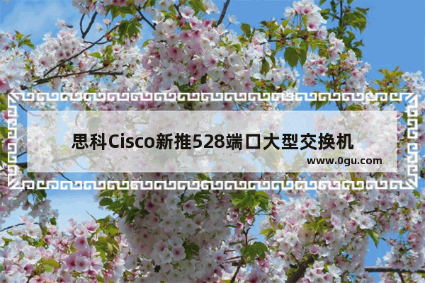 思科Cisco新推528端口大型交换机