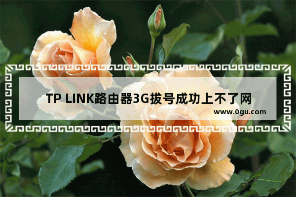 TP LINK路由器3G拔号成功上不了网怎么办【解决方法】