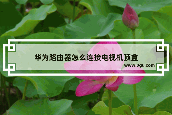 华为路由器怎么连接电视机顶盒