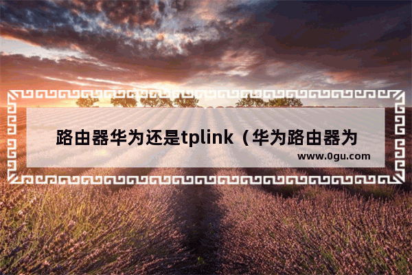 路由器华为还是tplink（华为路由器为何争议那么大）