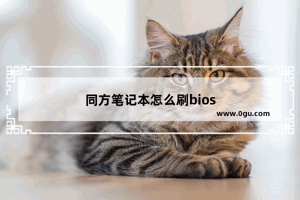 同方笔记本怎么刷bios