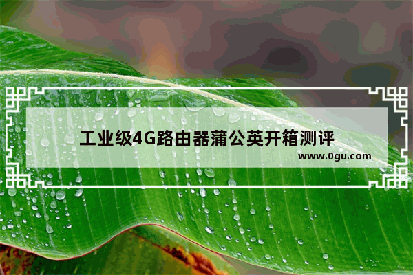 工业级4G路由器蒲公英开箱测评