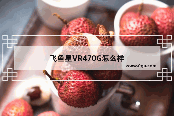 飞鱼星VR470G怎么样