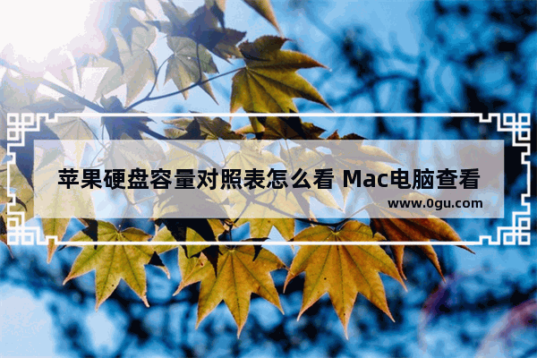 苹果硬盘容量对照表怎么看 Mac电脑查看磁盘的容量方法
