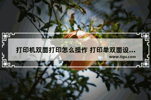 打印机双面打印怎么操作 打印单双面设置方法