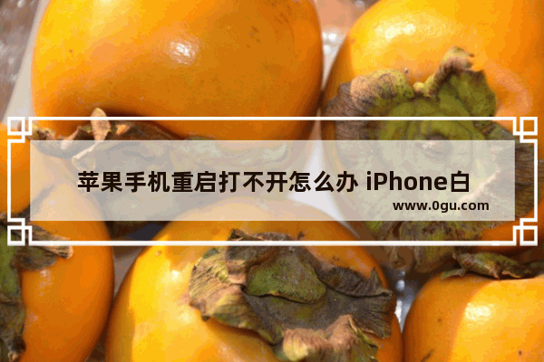苹果手机重启打不开怎么办 iPhone白苹果开不了机修复方法