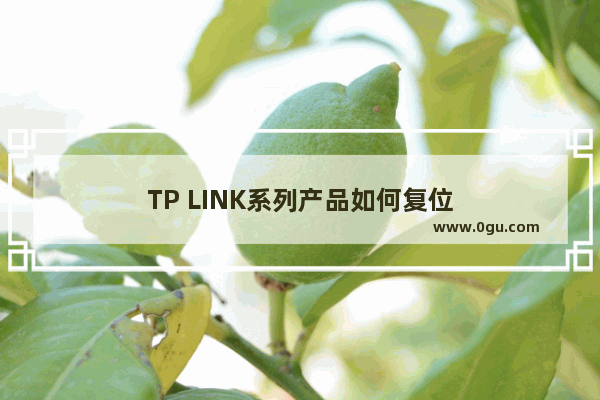 TP LINK系列产品如何复位