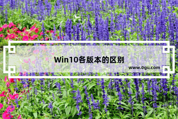 Win10各版本的区别