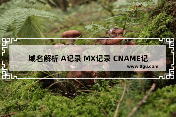 域名解析 A记录 MX记录 CNAME记录 TTL