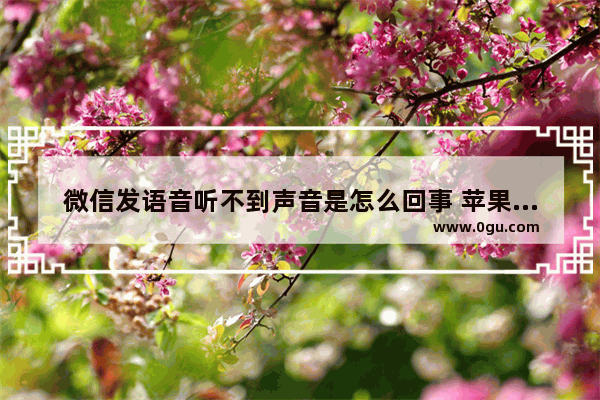 微信发语音听不到声音是怎么回事 苹果手机微信语音没声音处理教程