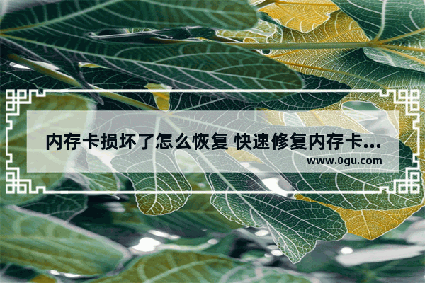 内存卡损坏了怎么恢复 快速修复内存卡故障的方法