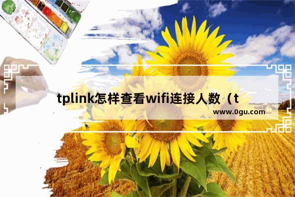 tplink怎样查看wifi连接人数（tplink查看连接用户教学）