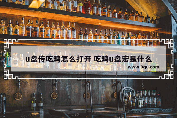 u盘传吃鸡怎么打开 吃鸡u盘宏是什么