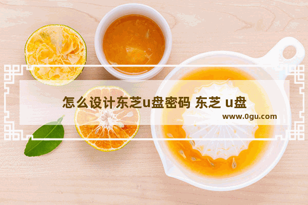 怎么设计东芝u盘密码 东芝 u盘
