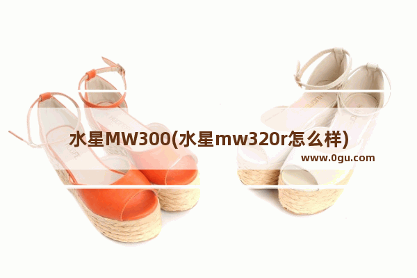 水星MW300(水星mw320r怎么样)