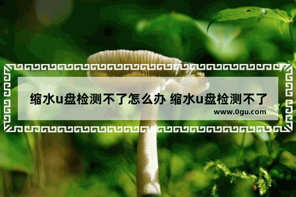 缩水u盘检测不了怎么办 缩水u盘检测不了怎么办呢