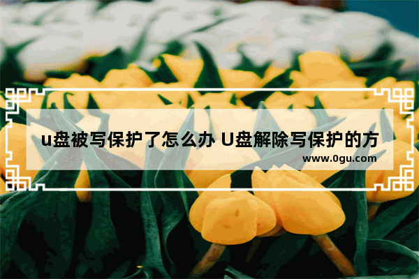 u盘被写保护了怎么办 U盘解除写保护的方法