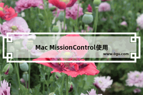 Mac MissionControl使用教程