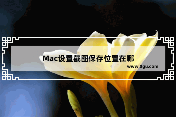 Mac设置截图保存位置在哪