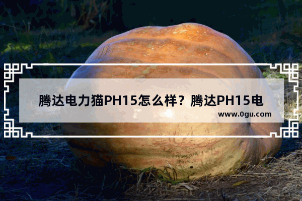 腾达电力猫PH15怎么样？腾达PH15电力猫全面图解评测