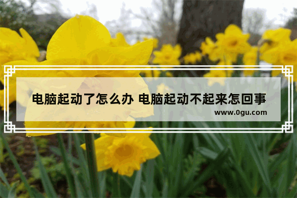电脑起动了怎么办 电脑起动不起来怎回事