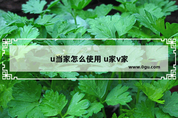 u当家怎么使用 u家v家