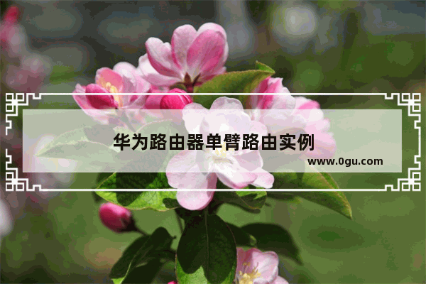 华为路由器单臂路由实例