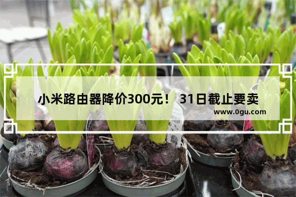 小米路由器降价300元！ 31日截止要卖的抓紧啦