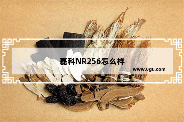 磊科NR256怎么样