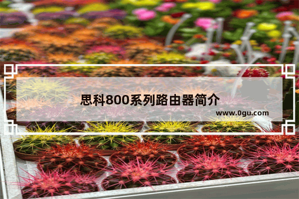 思科800系列路由器简介
