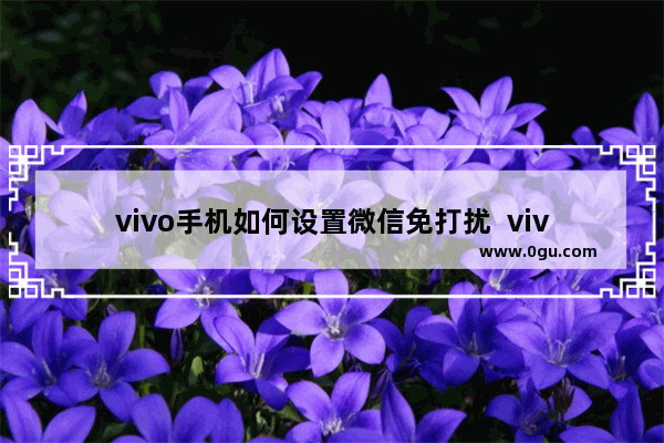 vivo手机如何设置微信免打扰  vivo手机设置微信免打扰的方法