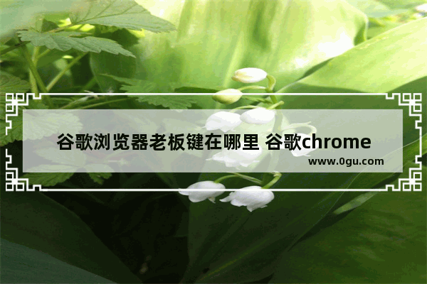 谷歌浏览器老板键在哪里 谷歌chrome添加老板键指南