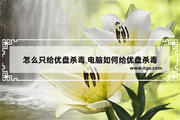 怎么只给优盘杀毒 电脑如何给优盘杀毒