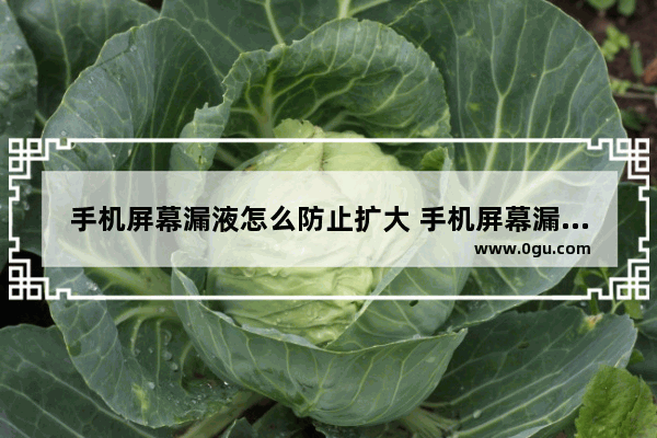 手机屏幕漏液怎么防止扩大 手机屏幕漏液修复教程