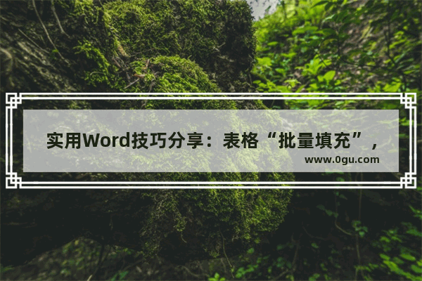 实用Word技巧分享：表格“批量填充”，真是高效呀！ 