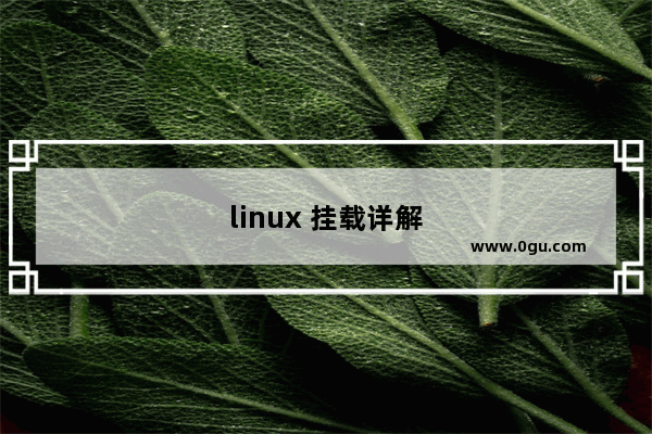 linux 挂载详解