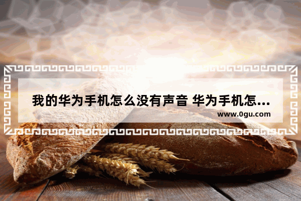 我的华为手机怎么没有声音 华为手机怎么没有声音啊