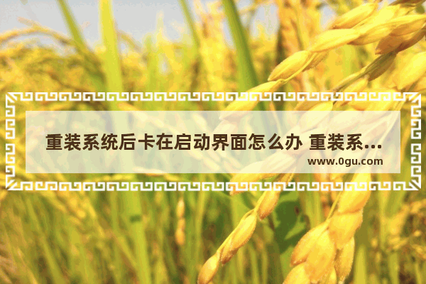 重装系统后卡在启动界面怎么办 重装系统以后卡在启动界面