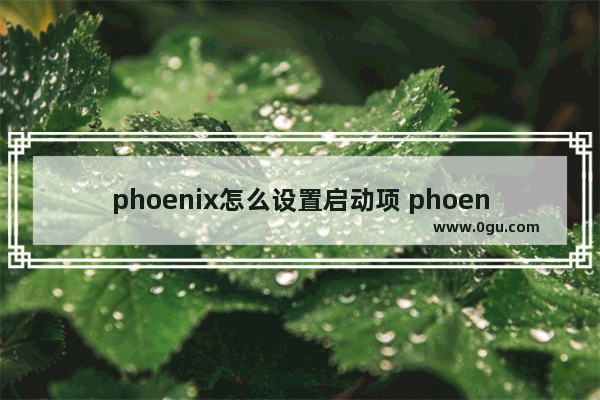 phoenix怎么设置启动项 phoenixbios设置硬盘启动