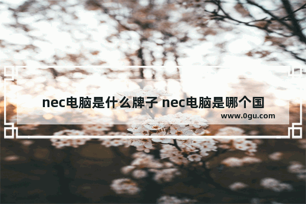 nec电脑是什么牌子 nec电脑是哪个国家的品牌