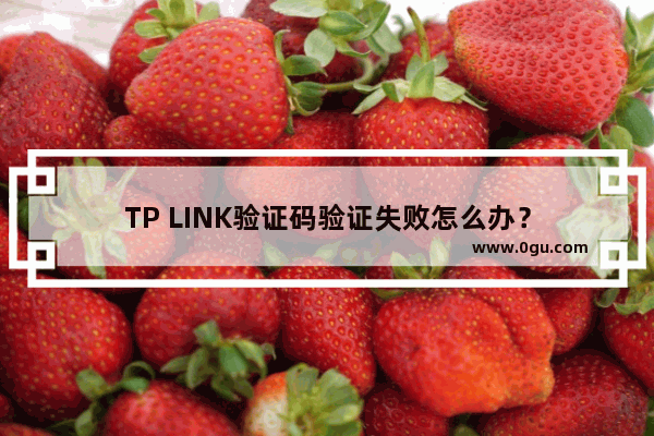 TP LINK验证码验证失败怎么办？