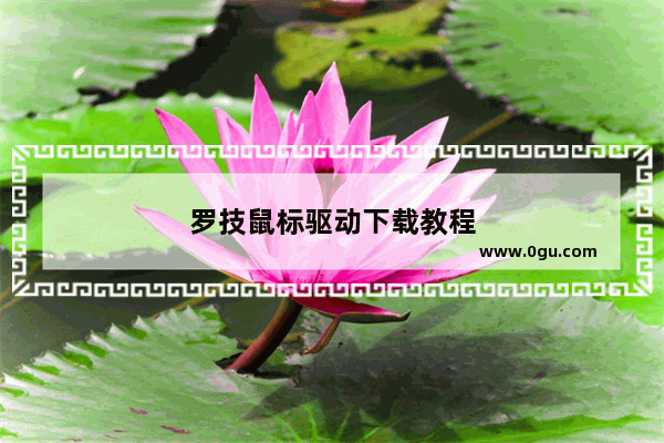 罗技鼠标驱动下载教程