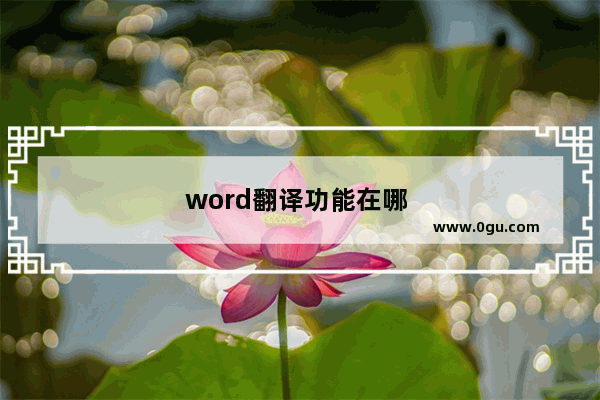 word翻译功能在哪 