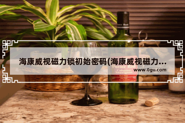 海康威视磁力锁初始密码(海康威视磁力锁怎么开)
