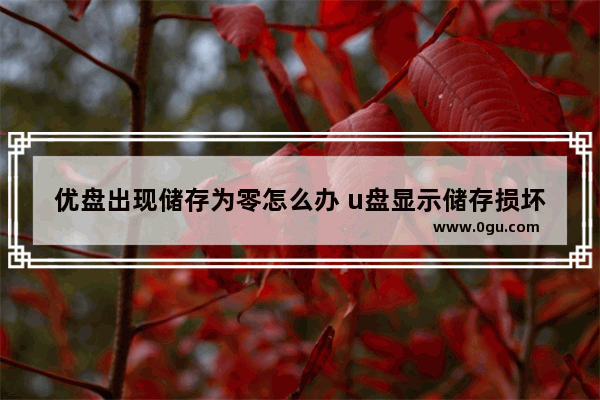 优盘出现储存为零怎么办 u盘显示储存损坏怎么办