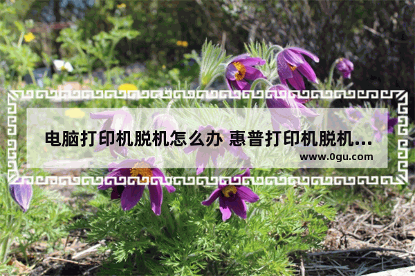 电脑打印机脱机怎么办 惠普打印机脱机怎么处理