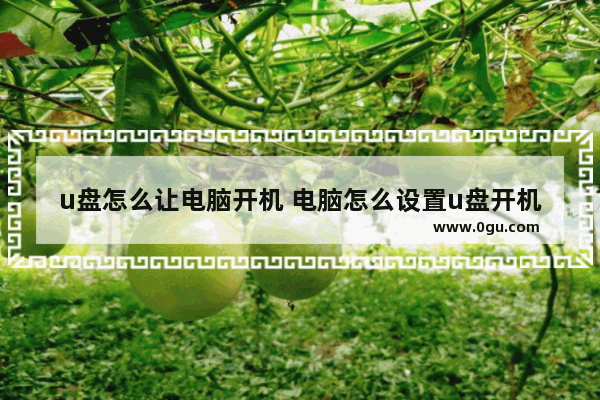 u盘怎么让电脑开机 电脑怎么设置u盘开机