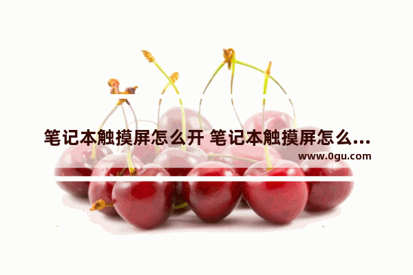 笔记本触摸屏怎么开 笔记本触摸屏怎么开关机