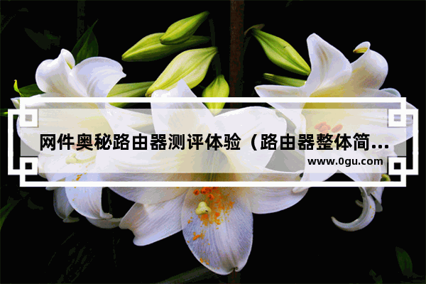 网件奥秘路由器测评体验（路由器整体简洁椭圆塔式的设计）